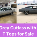 1982 Grey Cutlass with Glass T Tops for Sale