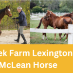 Creek Farm Lexington McLean Horse