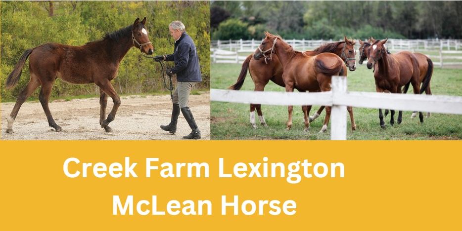 Creek Farm Lexington McLean Horse