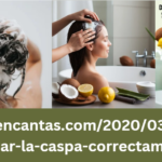 https://me-encantas.com/2020/03/23/como-eliminar-la-caspa-correctamente