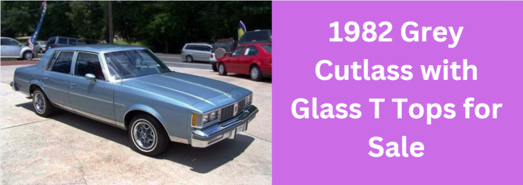 1982 Grey Cutlass with Glass T Tops for Sale