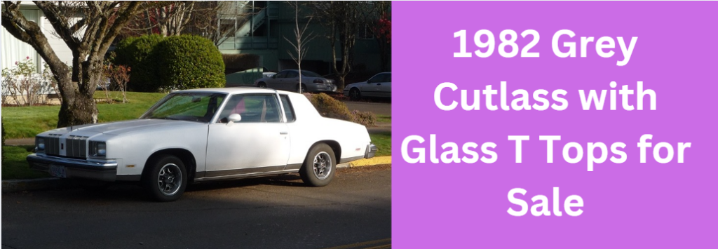 1982 Grey Cutlass with Glass T Tops for Sale