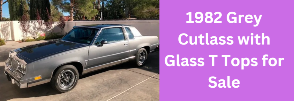 1982 Grey Cutlass with Glass T Tops for Sale